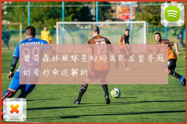 昔日森林狼球星纷纷离队后皆夺冠的奇妙命运解析