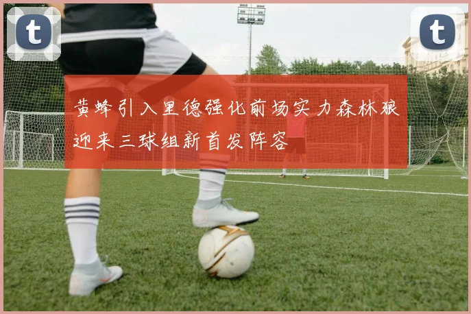 黄蜂引入里德强化前场实力森林狼迎来三球组新首发阵容